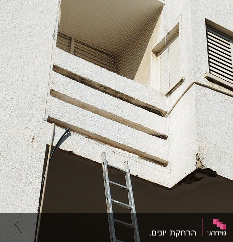 סולם מתכת נשען על מרפסת עם רשת הגנה